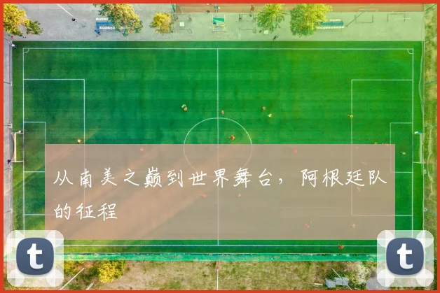 从南美之巅到世界舞台，阿根廷队的征程
