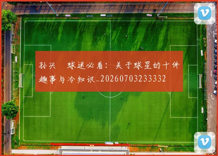 孙兴慜球迷必看:关于球星的十件趣事与冷知识_20260703233332